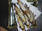 2006.8.19L{3.JPG